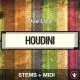 Houdini - Dua Lipa - STEMS + MIDI