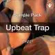 Upbeat Trap Loops and Samples