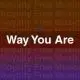 Way You Are